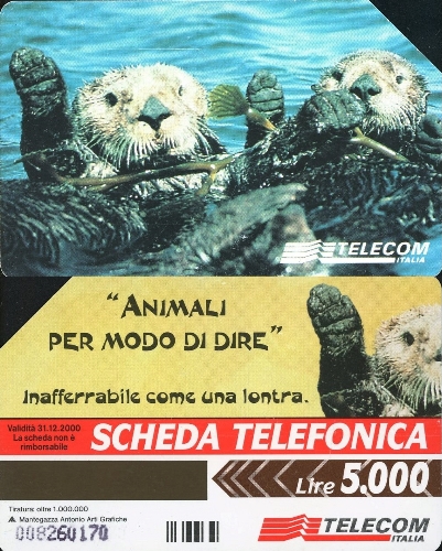 Tel.Karta, 1998 Taliansko, Telecom Italia, La Lontra 