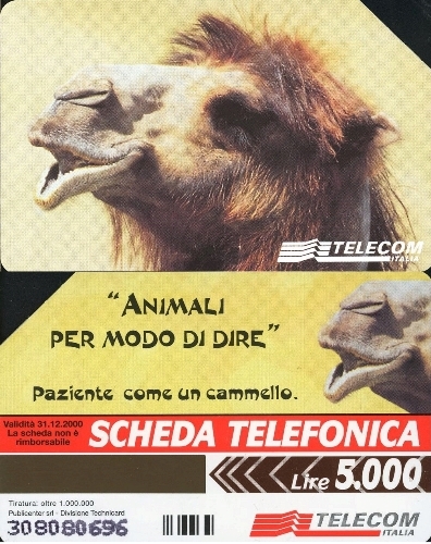 Tel.Karta, 1998 Taliansko, Telecom Italia, Il Cammello 