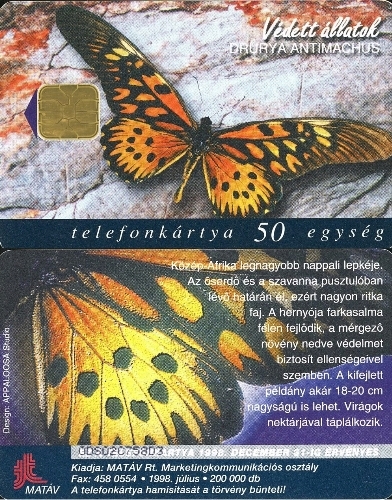 Tel.Karta, 1998 Maďarsko, MATÁV, Lepke (Drurya antimachus) 