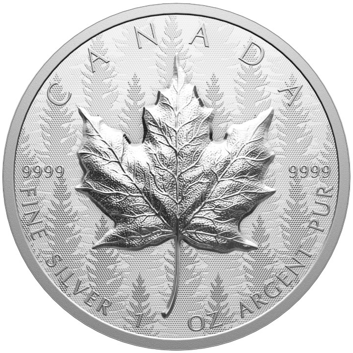 20 Dollars 2024 Kanada PROOF 31,1 g Ag Maple Leaf